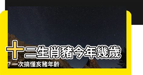 豬年次|屬豬今年幾歲｜屬豬民國年次、豬年西元年